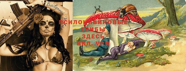 мдпв Абинск
