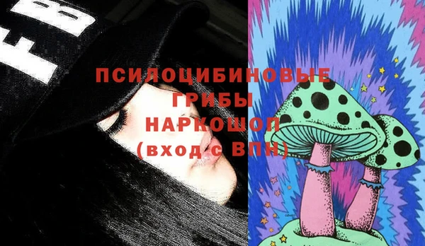прущие крисы Алзамай