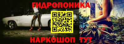 крисы Обнинск